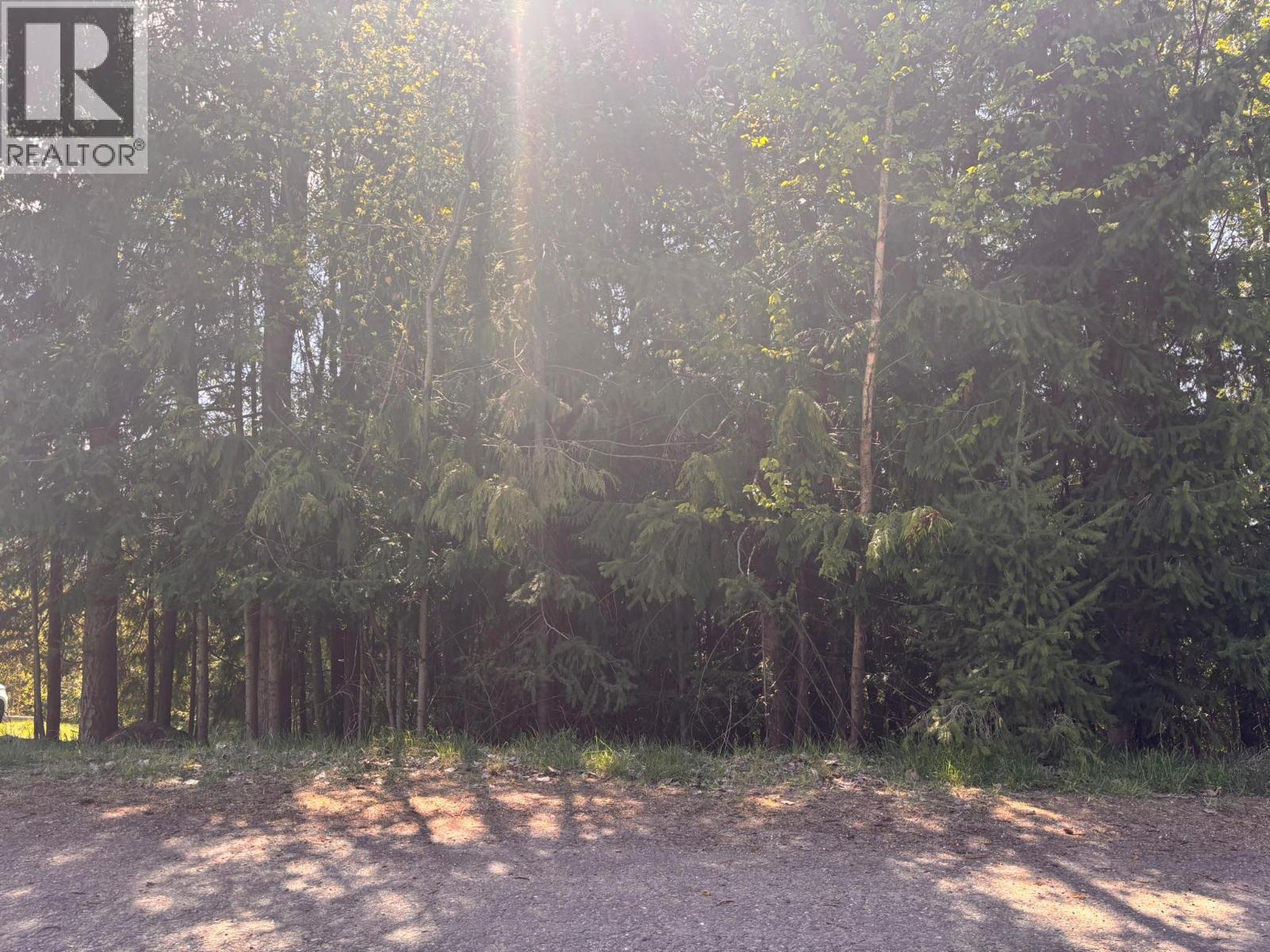 Lot 8 Stampede Trail, Anglemont, British Columbia  V0E 1M8 - Photo 2 - 10384519