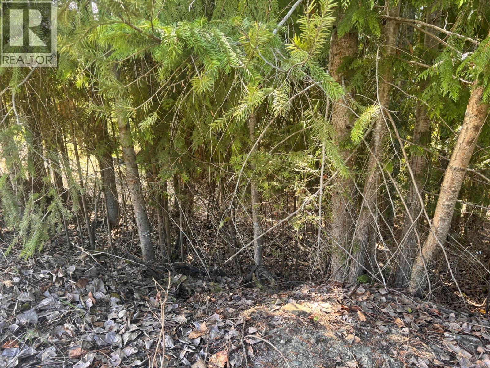 Lot 8 Stampede Trail, Anglemont, British Columbia  V0E 1M8 - Photo 5 - 10384519