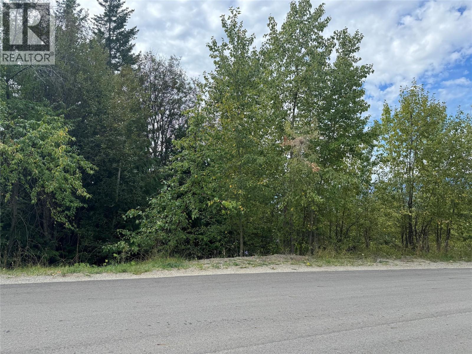 Lot 389 Anglemont Way, Anglemont, British Columbia  V0E 1M8 - Photo 1 - 10384280