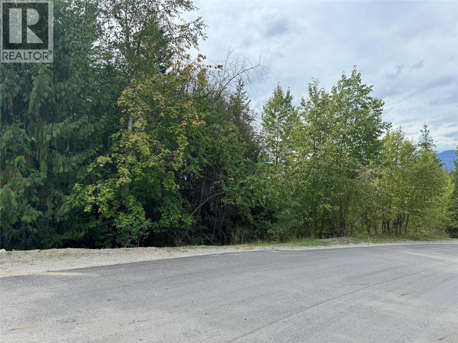 Lot 389 Anglemont Way, Anglemont, British Columbia  V0E 1M8 - Photo 10 - 10384280