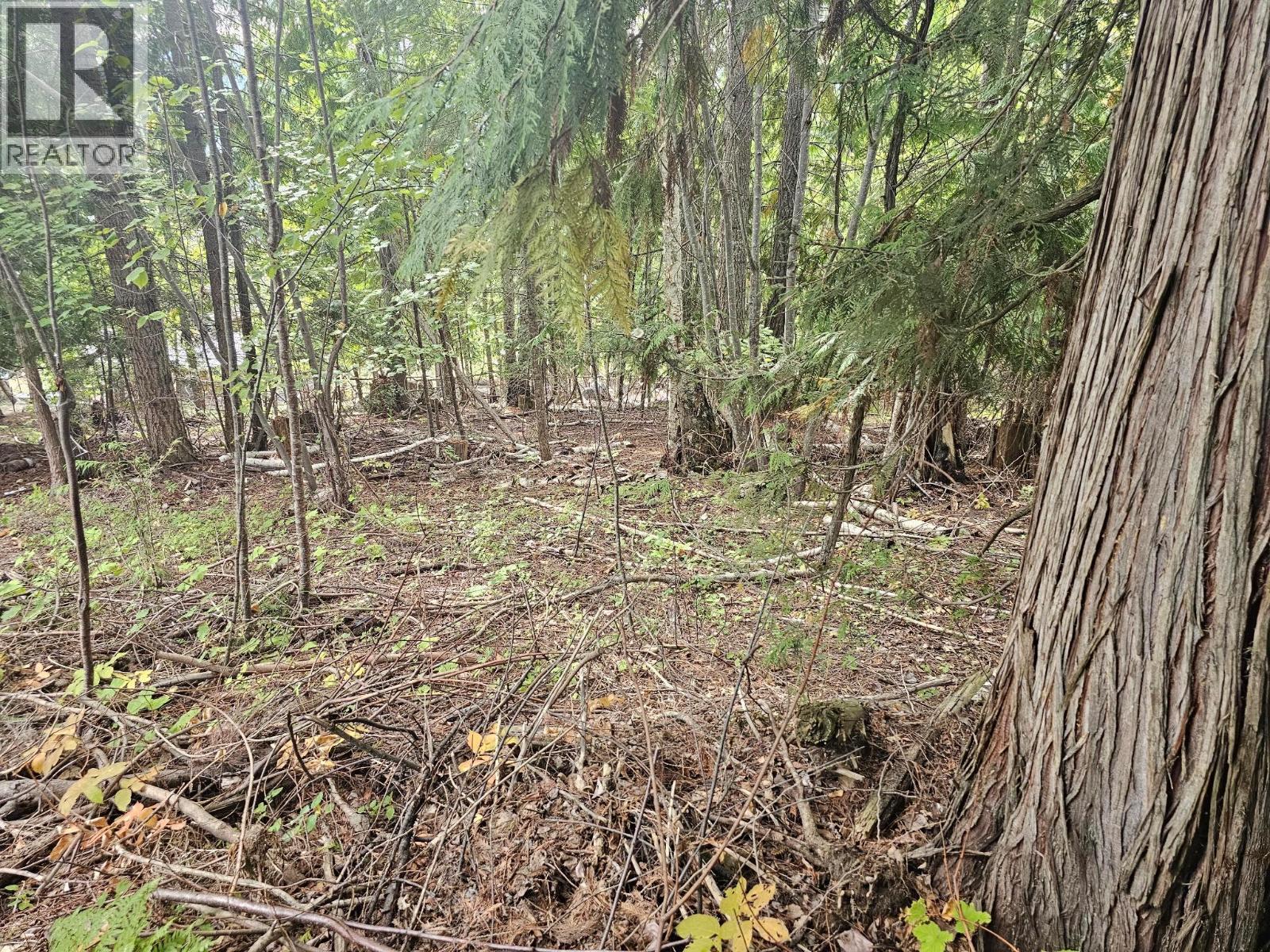 Lot 389 Anglemont Way, Anglemont, British Columbia  V0E 1M8 - Photo 12 - 10384280