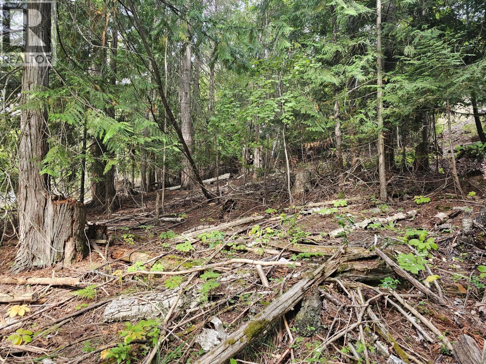 Lot 389 Anglemont Way, Anglemont, British Columbia  V0E 1M8 - Photo 13 - 10384280