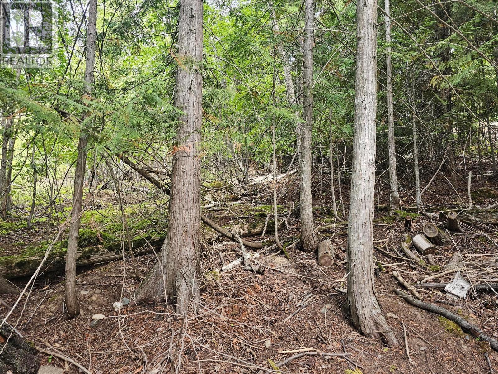 Lot 389 Anglemont Way, Anglemont, British Columbia  V0E 1M8 - Photo 16 - 10384280