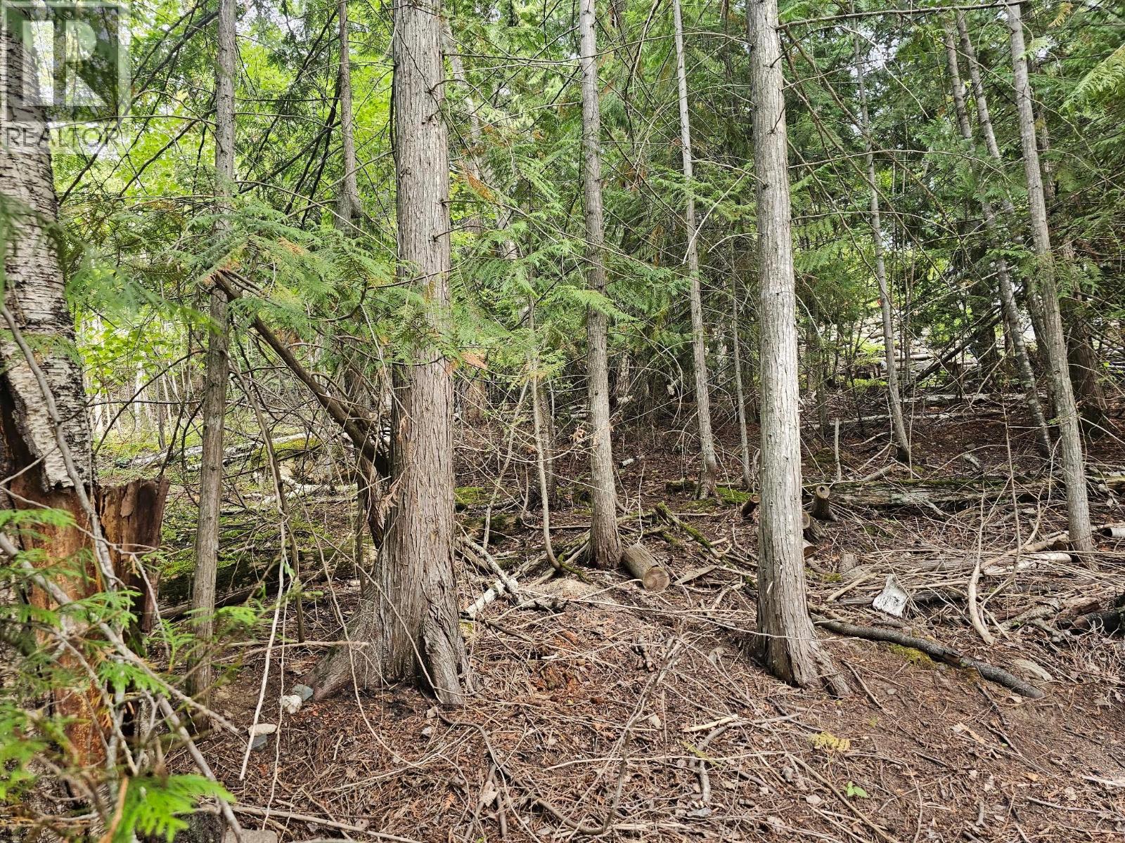 Lot 389 Anglemont Way, Anglemont, British Columbia  V0E 1M8 - Photo 17 - 10384280