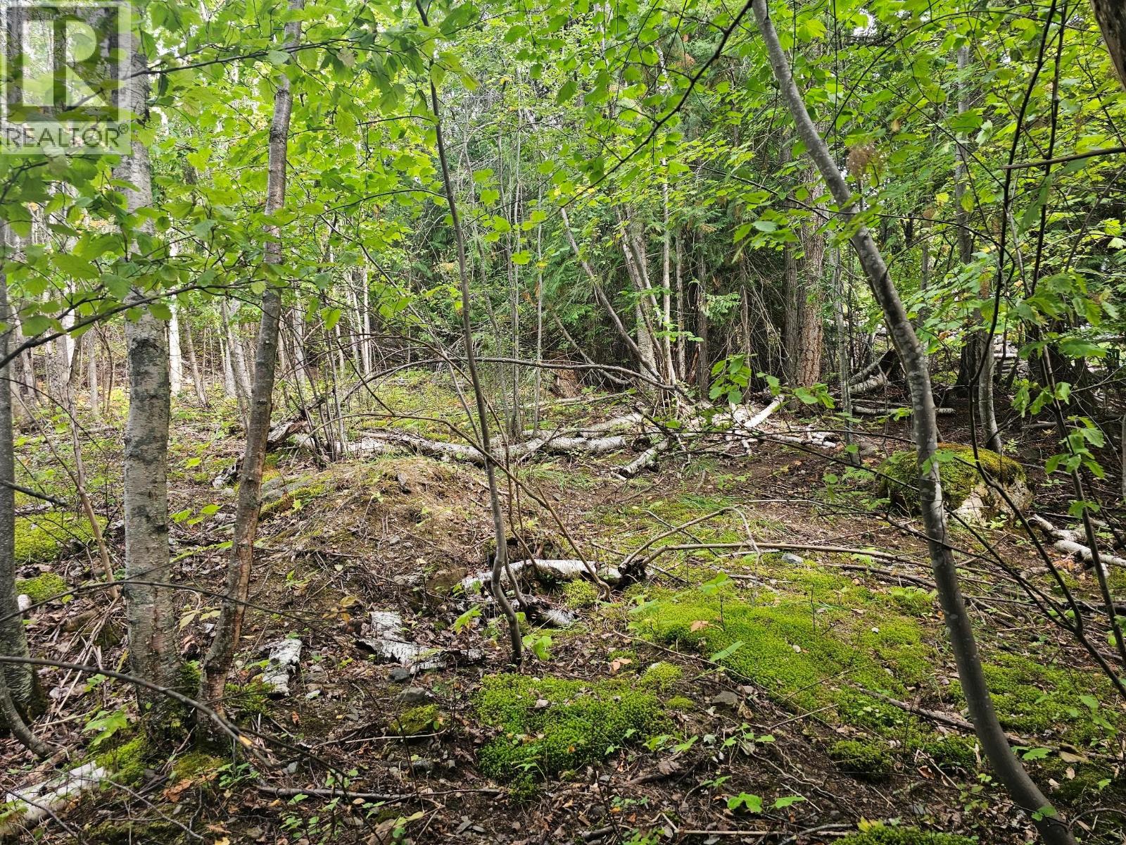 Lot 389 Anglemont Way, Anglemont, British Columbia  V0E 1M8 - Photo 18 - 10384280