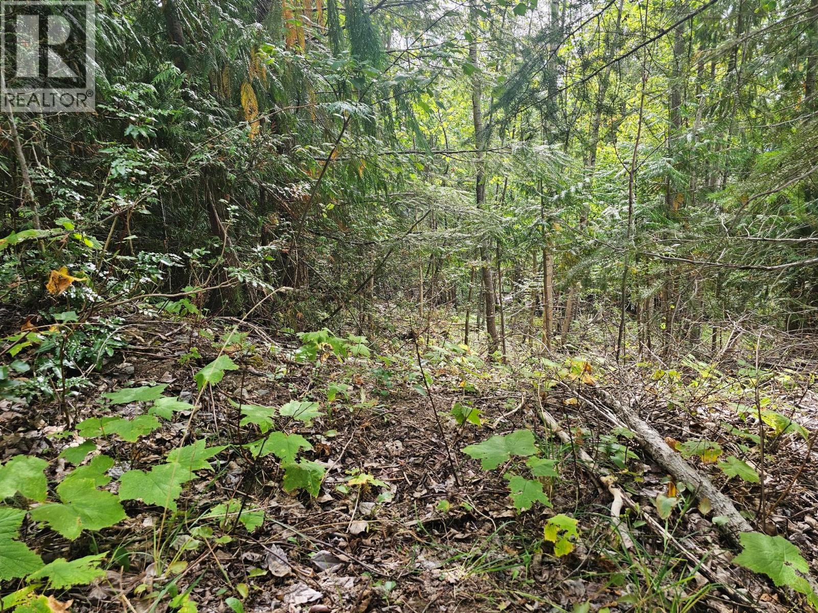 Lot 389 Anglemont Way, Anglemont, British Columbia  V0E 1M8 - Photo 21 - 10384280