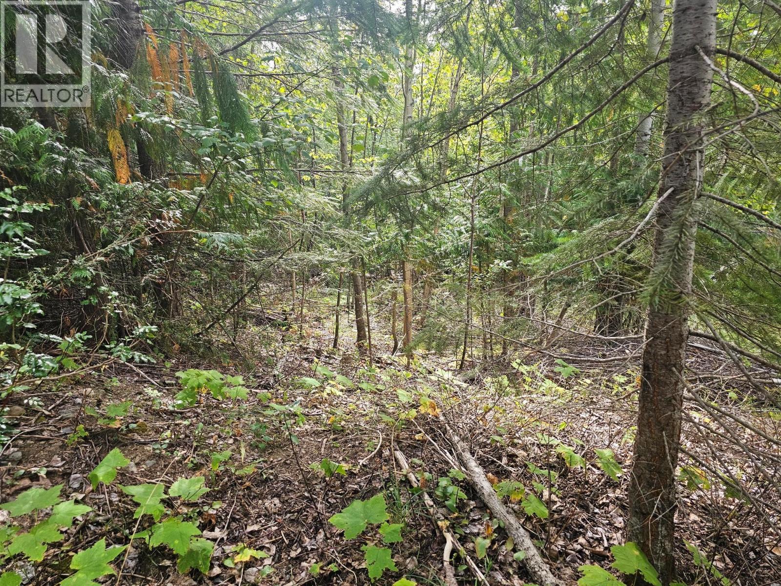 Lot 389 Anglemont Way, Anglemont, British Columbia  V0E 1M8 - Photo 22 - 10384280