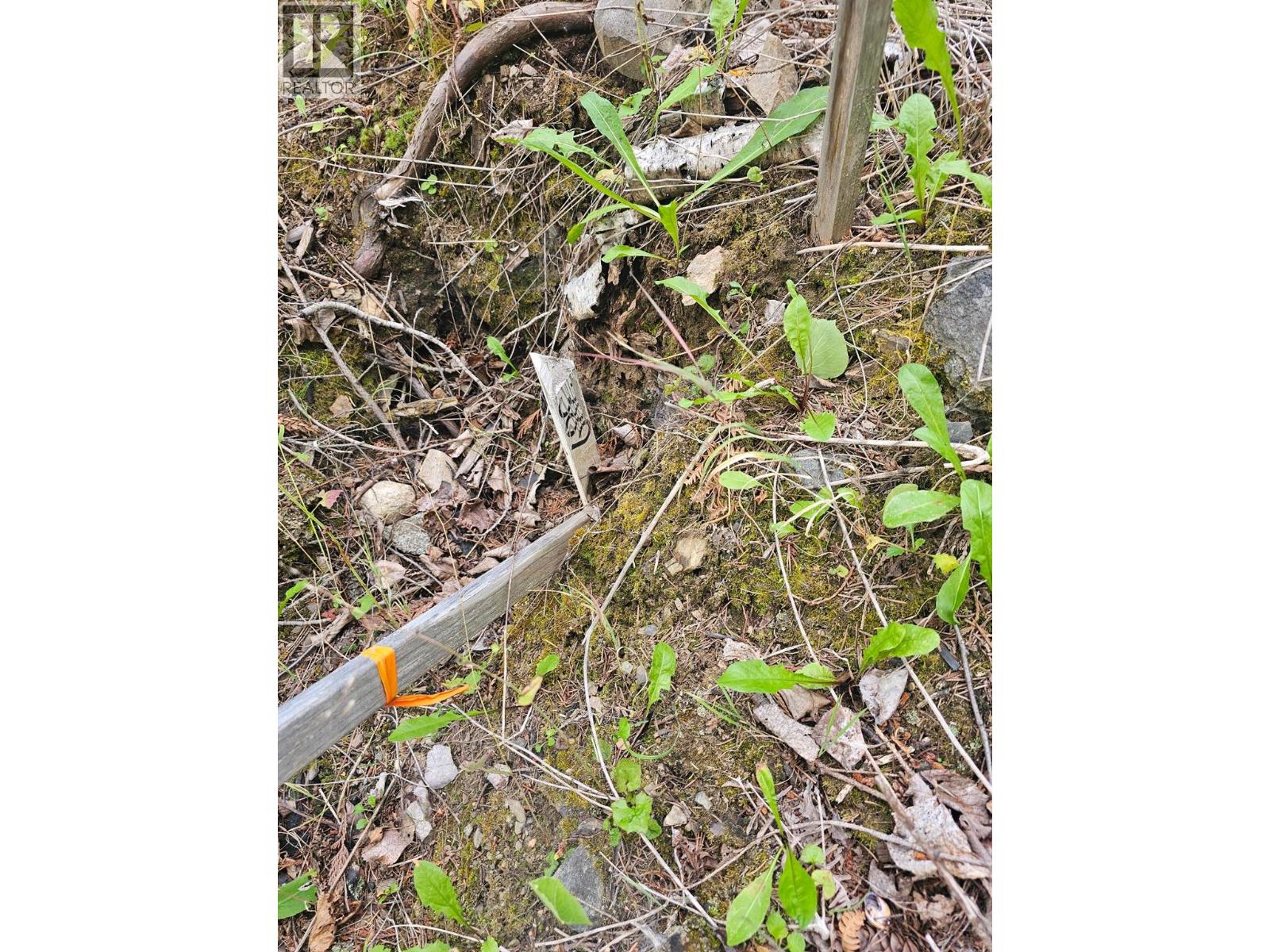 Lot 389 Anglemont Way, Anglemont, British Columbia  V0E 1M8 - Photo 23 - 10384280