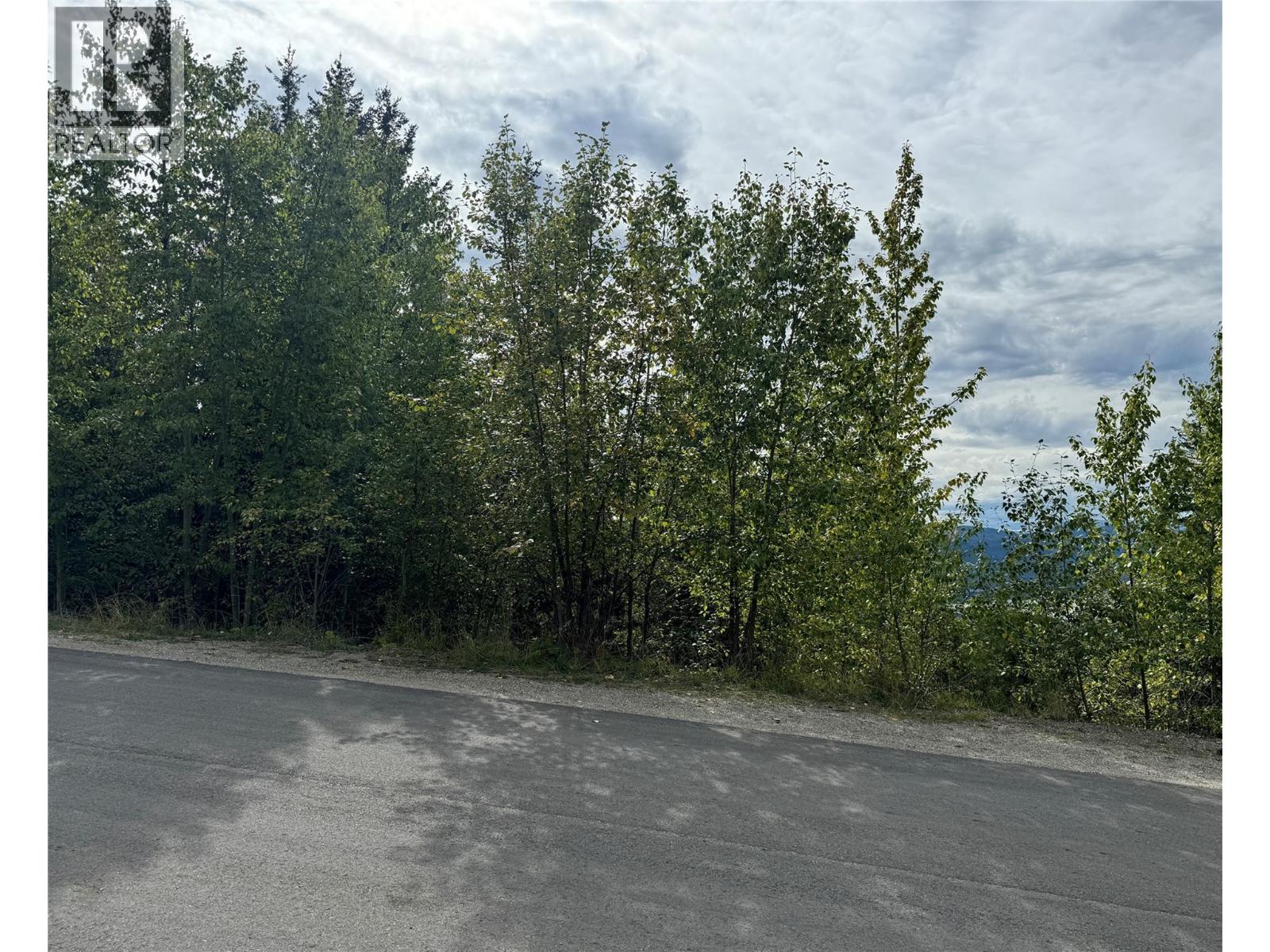 Lot 389 Anglemont Way, Anglemont, British Columbia  V0E 1M8 - Photo 4 - 10384280