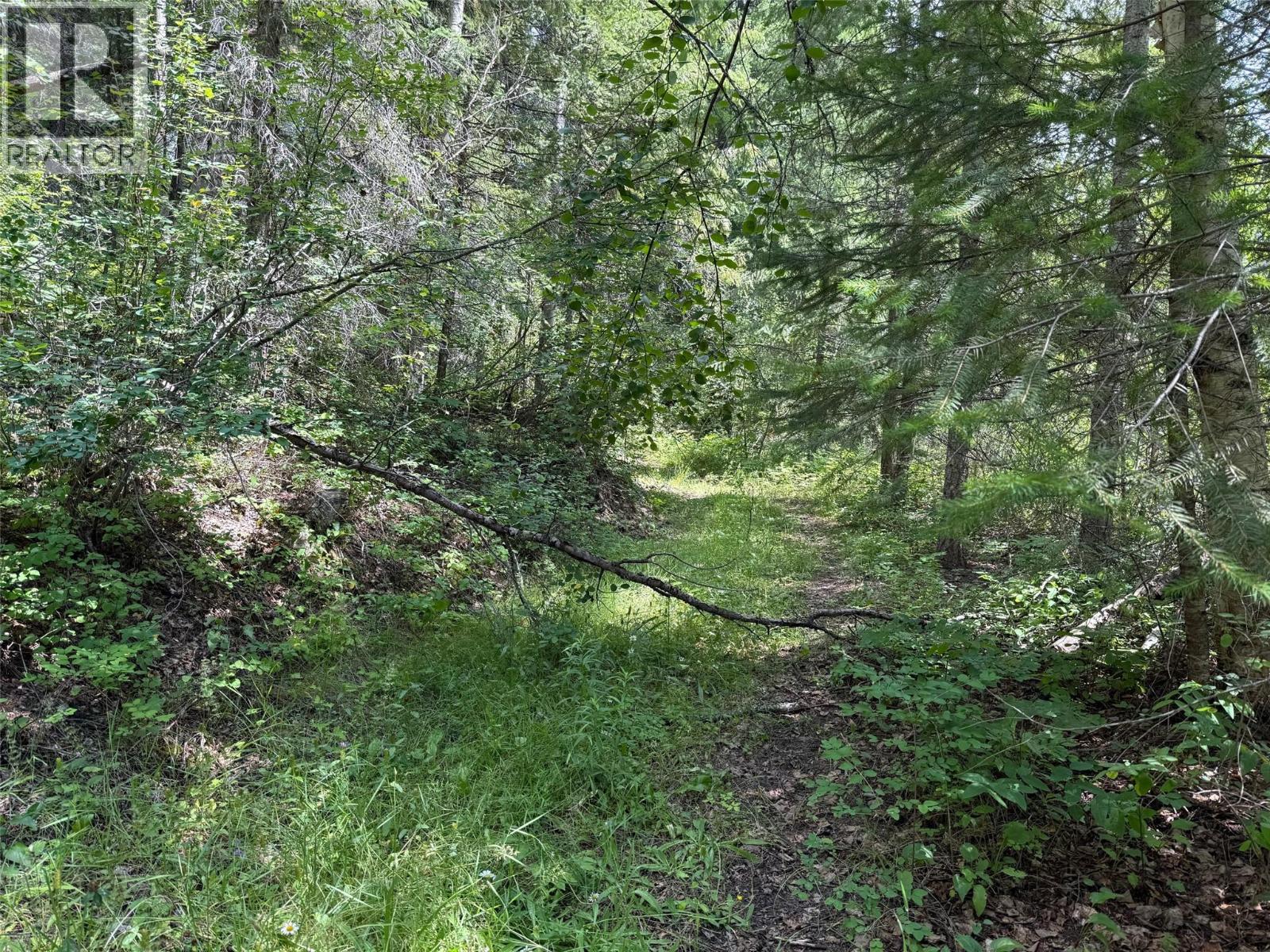 4069 East Barriere Lake Road, Barriere, British Columbia  V0E 1E0 - Photo 1 - 10384530