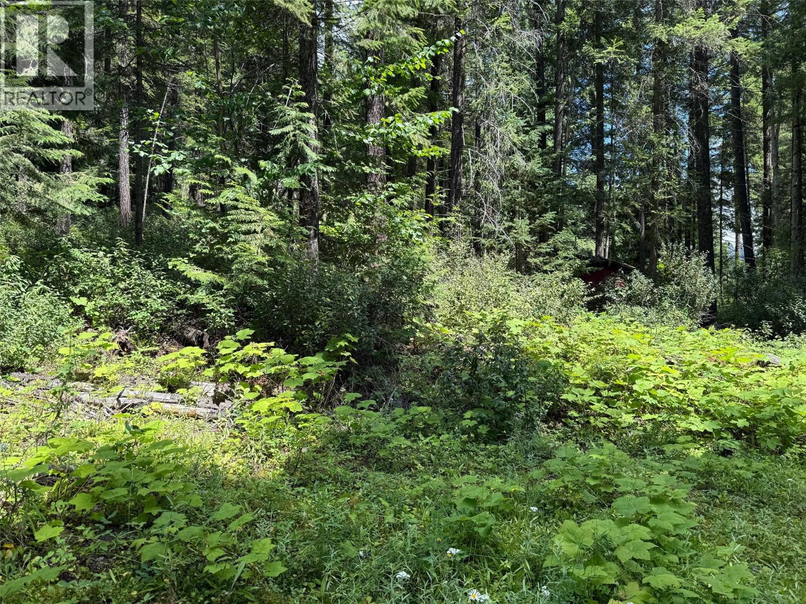 4069 East Barriere Lake Road, Barriere, British Columbia  V0E 1E0 - Photo 6 - 10384530