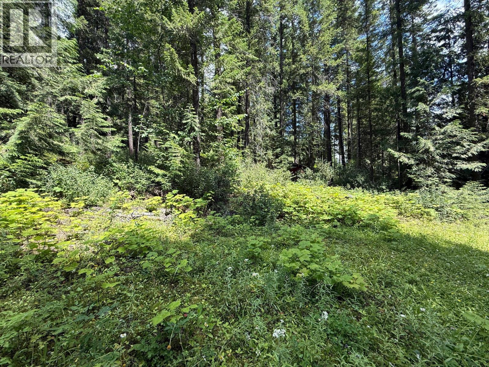 4069 East Barriere Lake Road, Barriere, British Columbia  V0E 1E0 - Photo 7 - 10384530