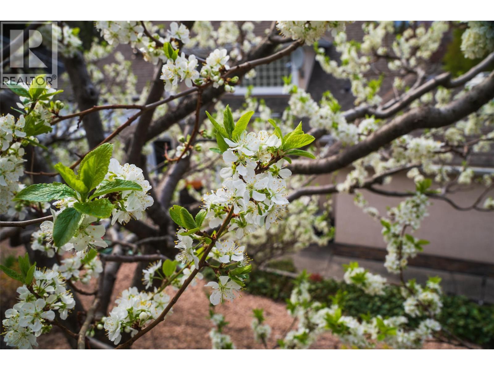 205 Merlin Court, Kelowna, British Columbia  V1V 1N2 - Photo 30 - 10384224