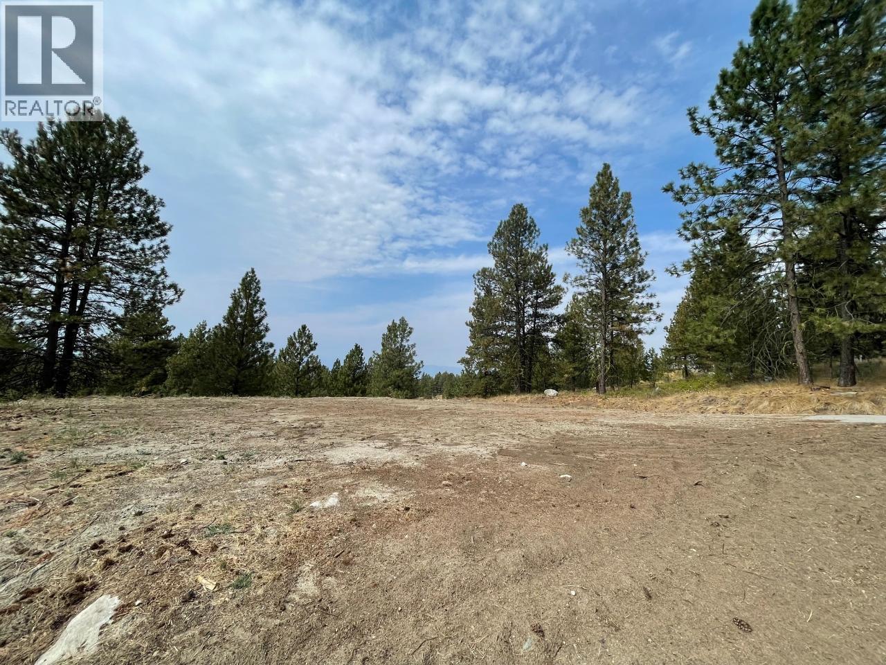 100 Cougar Court, Osoyoos, British Columbia  V0H 1V6 - Photo 12 - 10384562