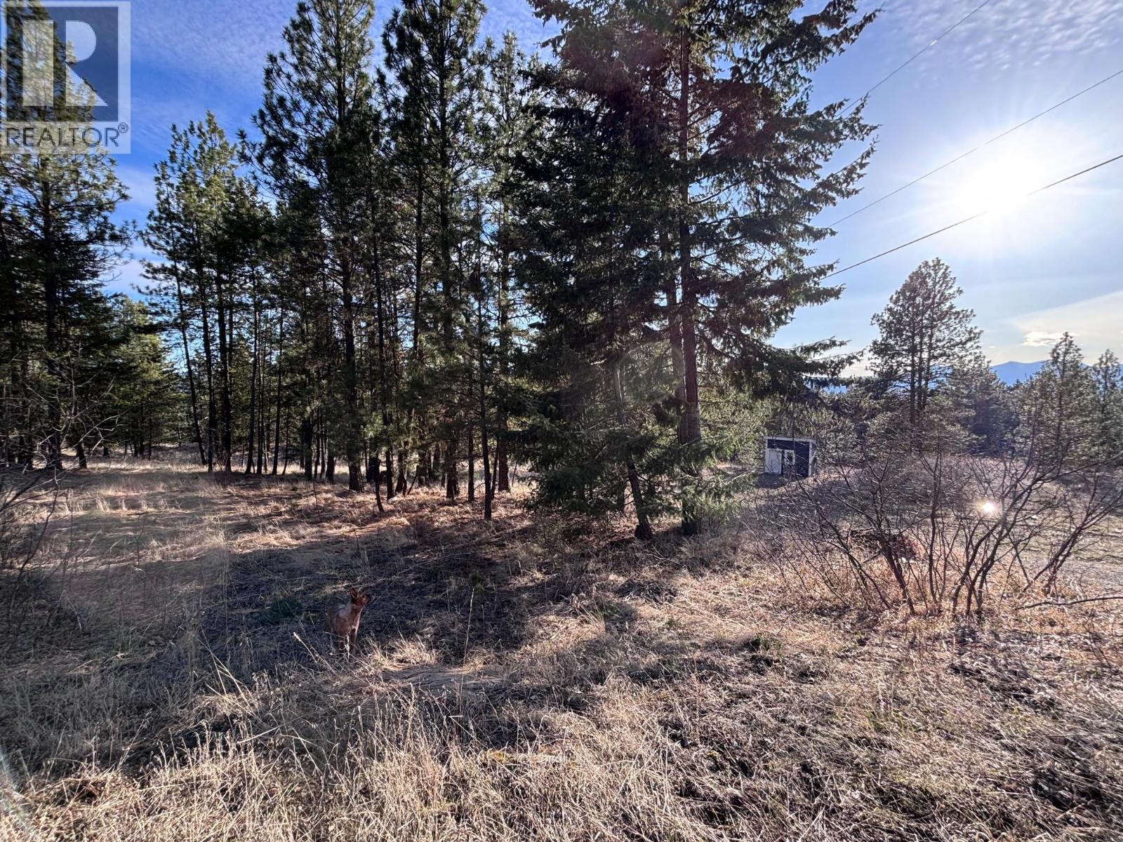 100 Cougar Court, Osoyoos, British Columbia  V0H 1V6 - Photo 3 - 10384562