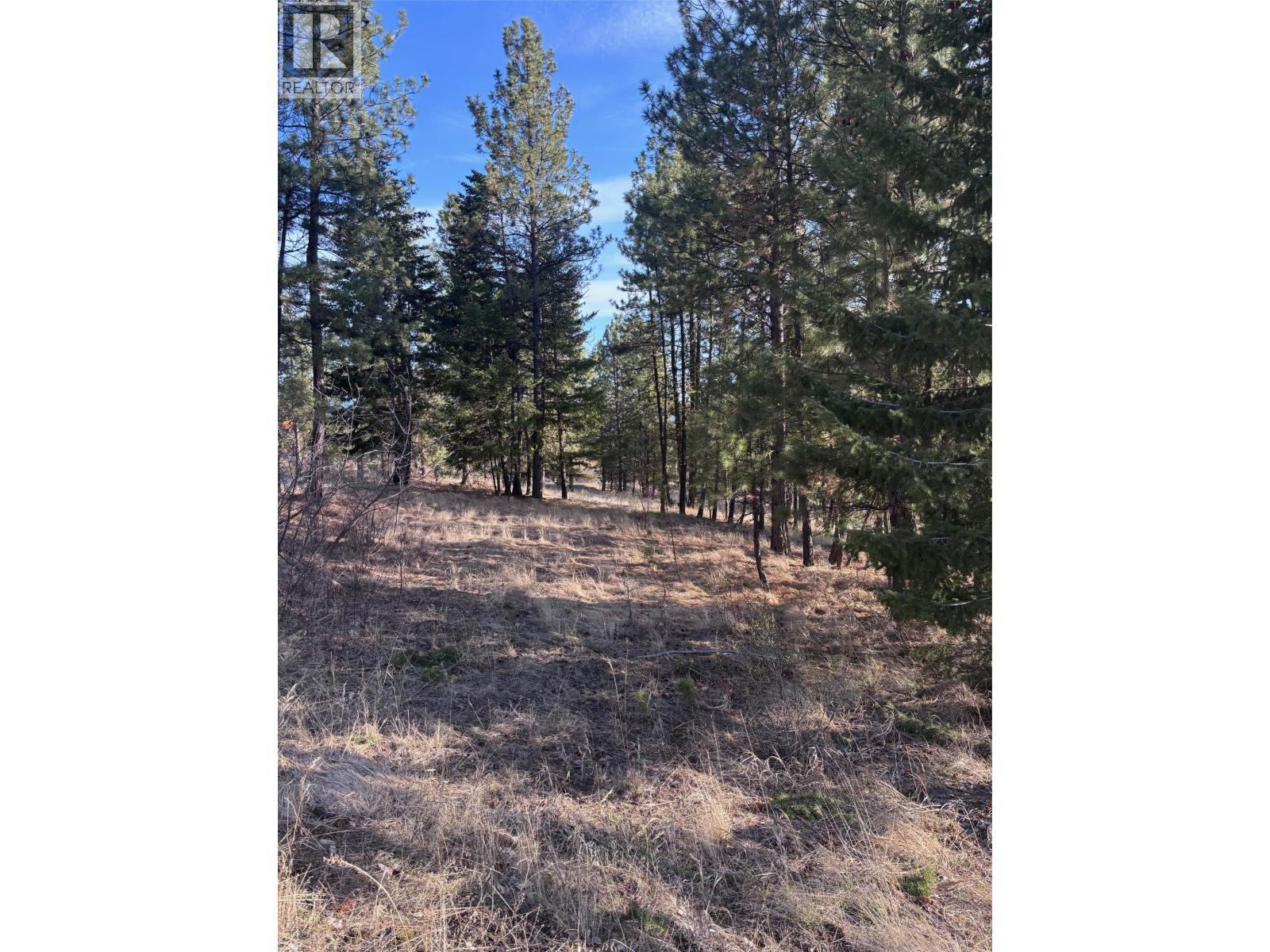 100 Cougar Court, Osoyoos, British Columbia  V0H 1V6 - Photo 4 - 10384562