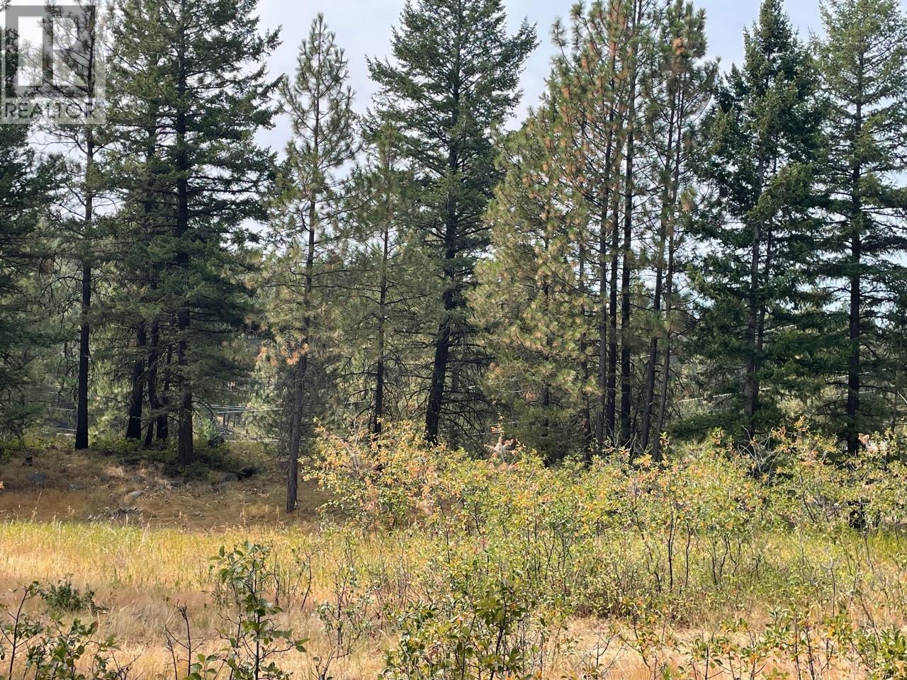 100 Cougar Court, Osoyoos, British Columbia  V0H 1V6 - Photo 5 - 10384562