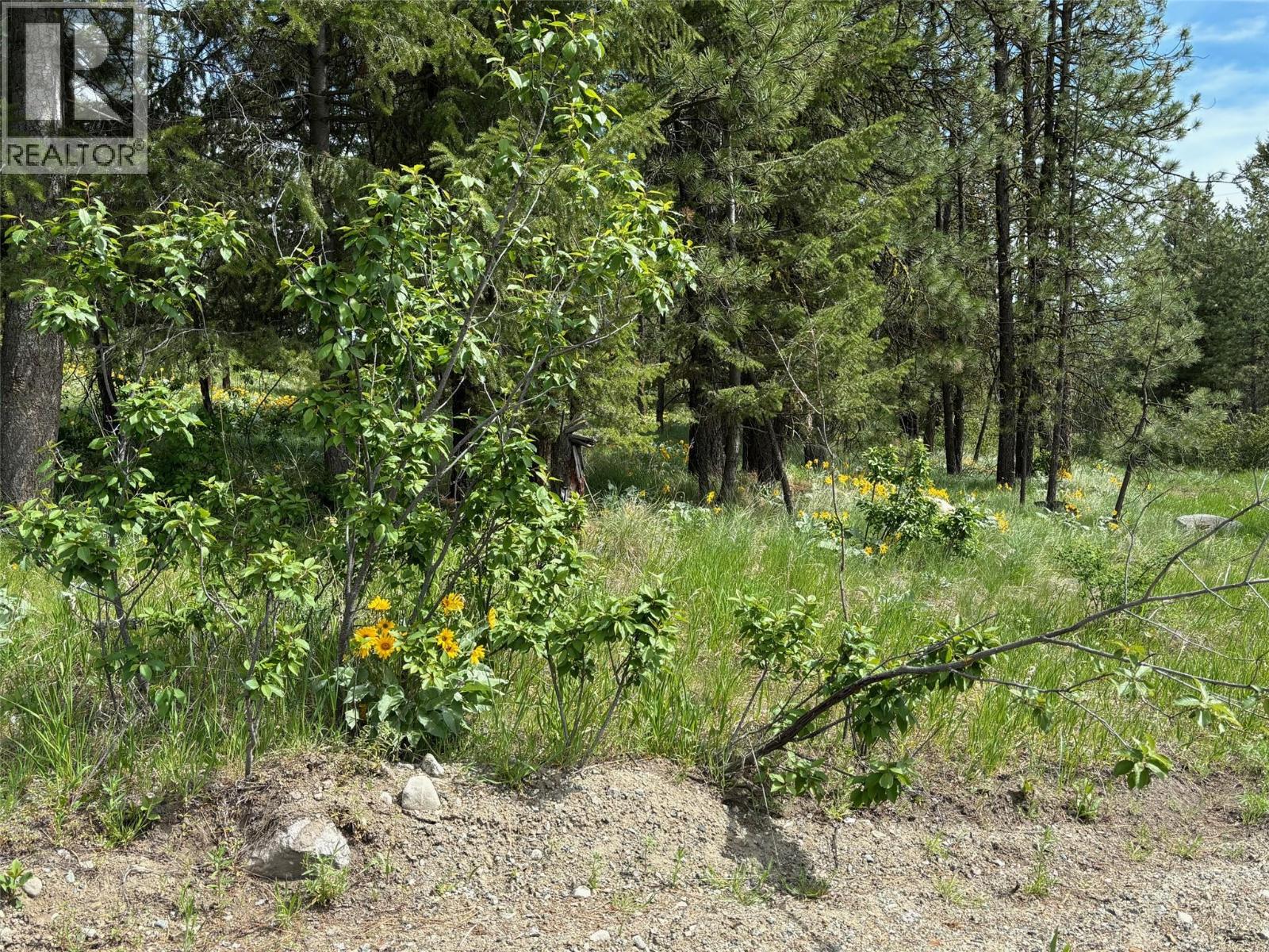 100 Cougar Court, Osoyoos, British Columbia  V0H 1V6 - Photo 6 - 10384562