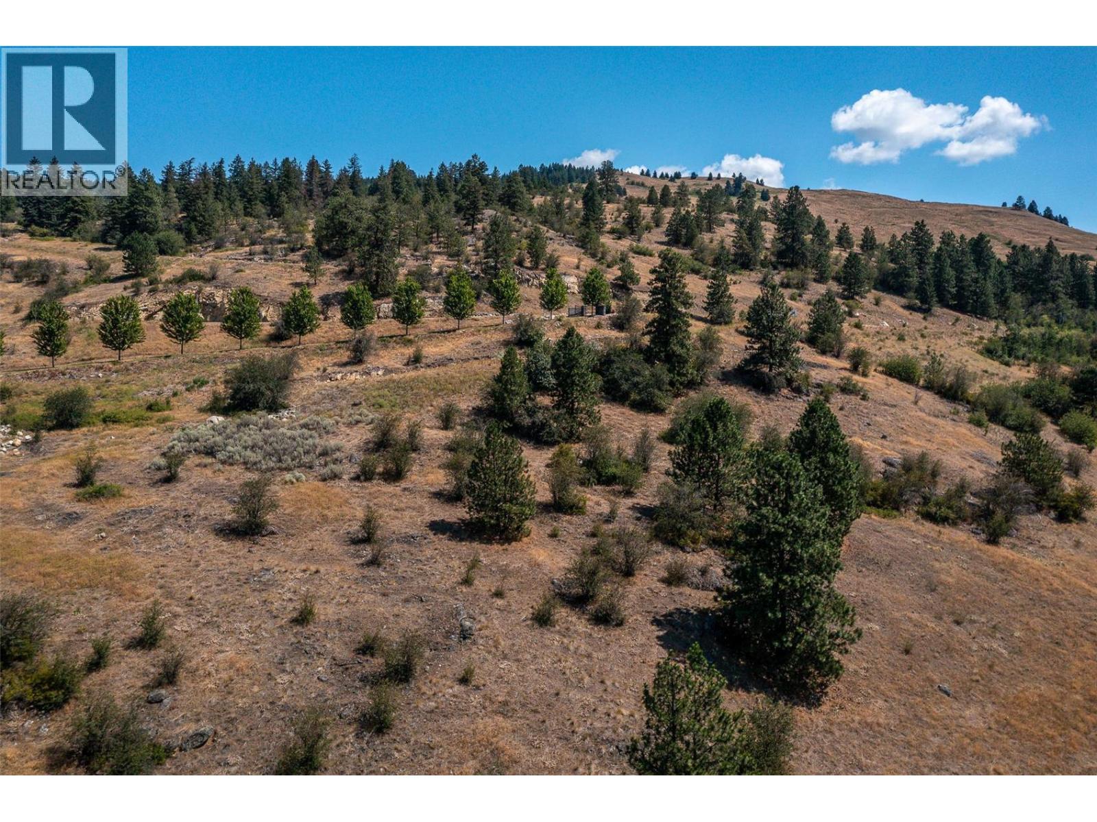 167 Ravine Drive, Coldstream, British Columbia  V1B 3B7 - Photo 4 - 10337350