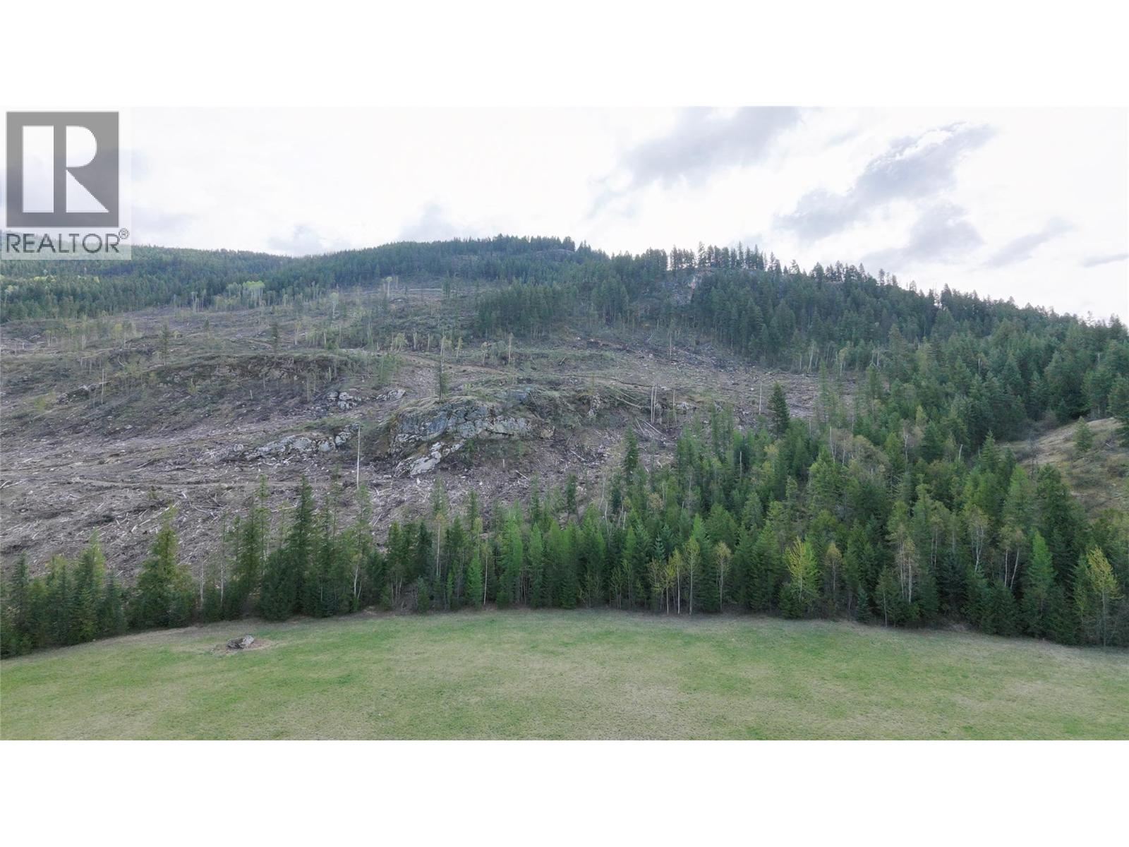 7 Bigg Road, Lumby, British Columbia  V0E 2G6 - Photo 4 - 10384514