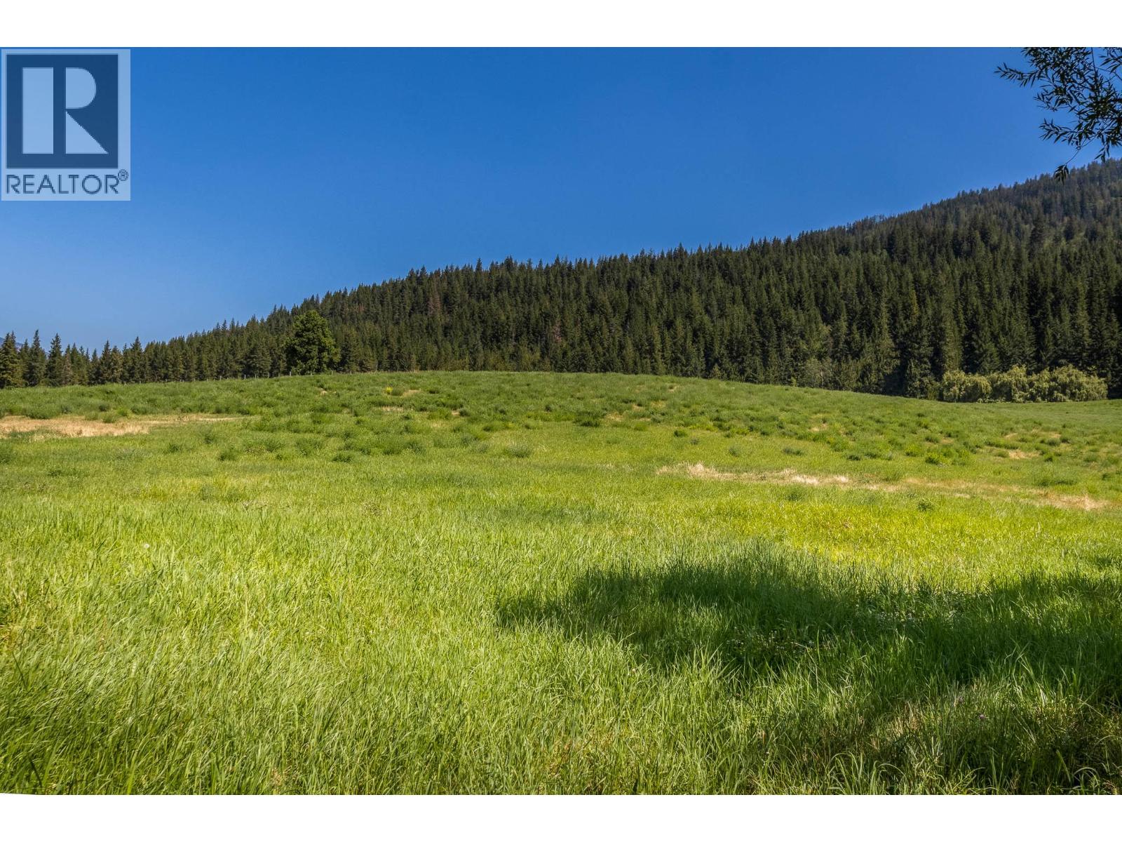 4080 50 Street Ne, Salmon Arm, British Columbia  V1E 1Y5 - Photo 10 - 10384167