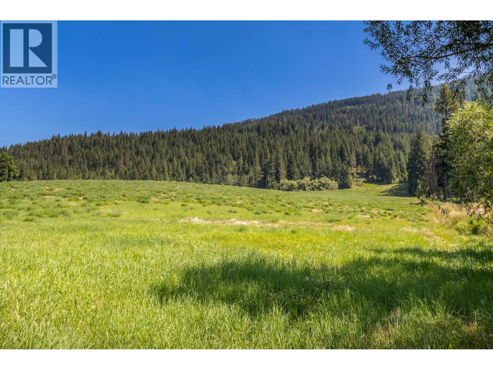 4080 50 Street Ne, Salmon Arm, British Columbia  V1E 1Y5 - Photo 11 - 10384167