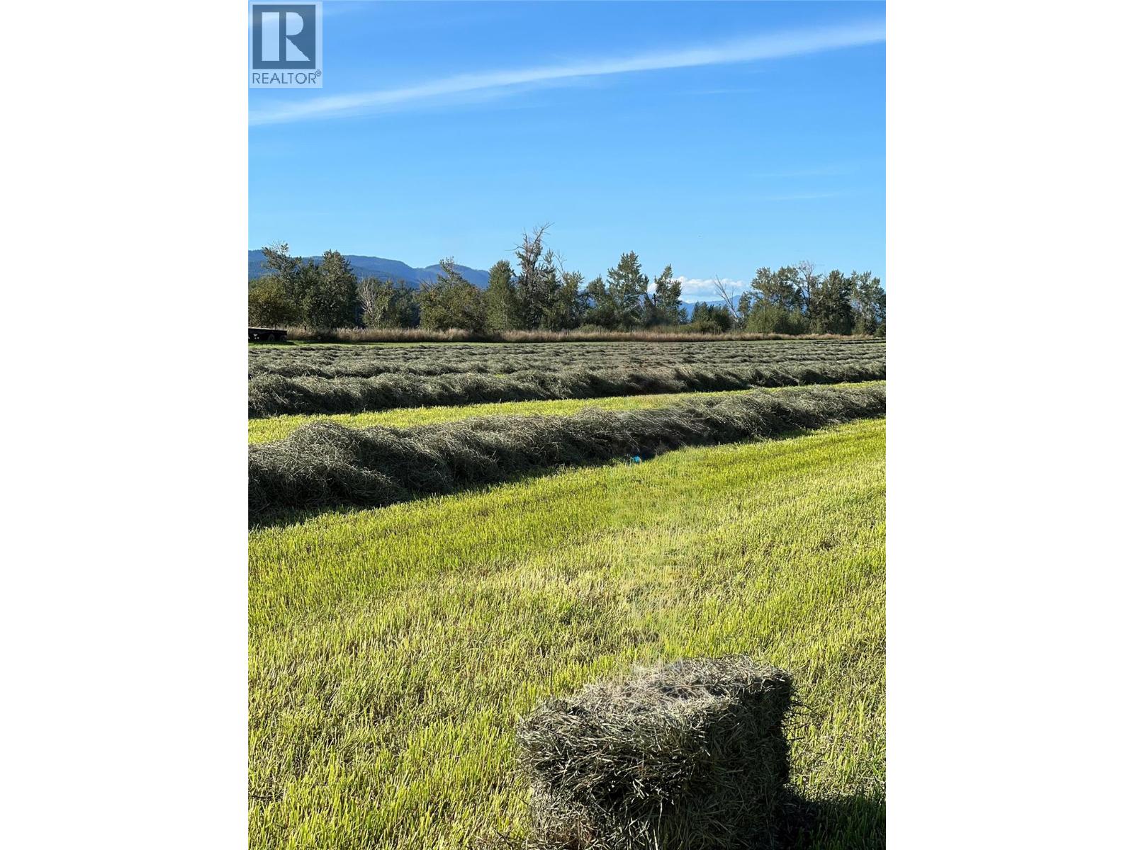 5111 Dunn Lake Road, Barriere, British Columbia  V0E 1E0 - Photo 3 - 10384634