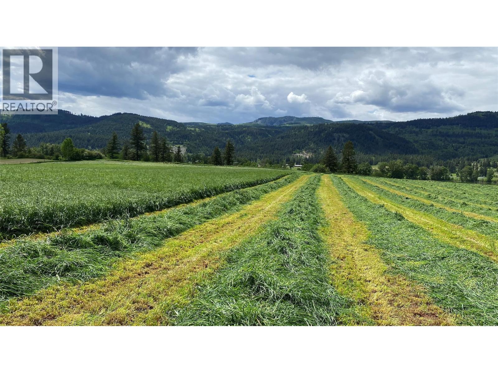 5111 Dunn Lake Road, Barriere, British Columbia  V0E 1E0 - Photo 4 - 10384634