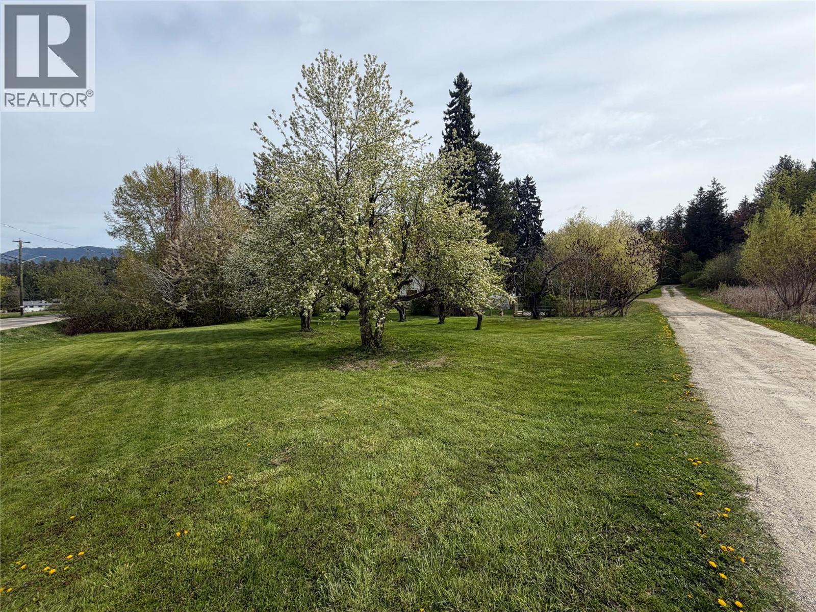 2370 Lakeshore Road Ne, Salmon Arm, British Columbia  V1E 3X9 - Photo 10 - 10384581