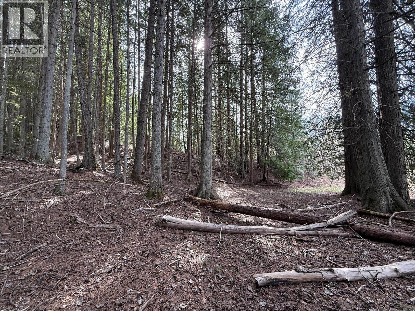 Fern Road Lot# 122, Appledale, British Columbia  V0G 2J0 - Photo 9 - 10384732