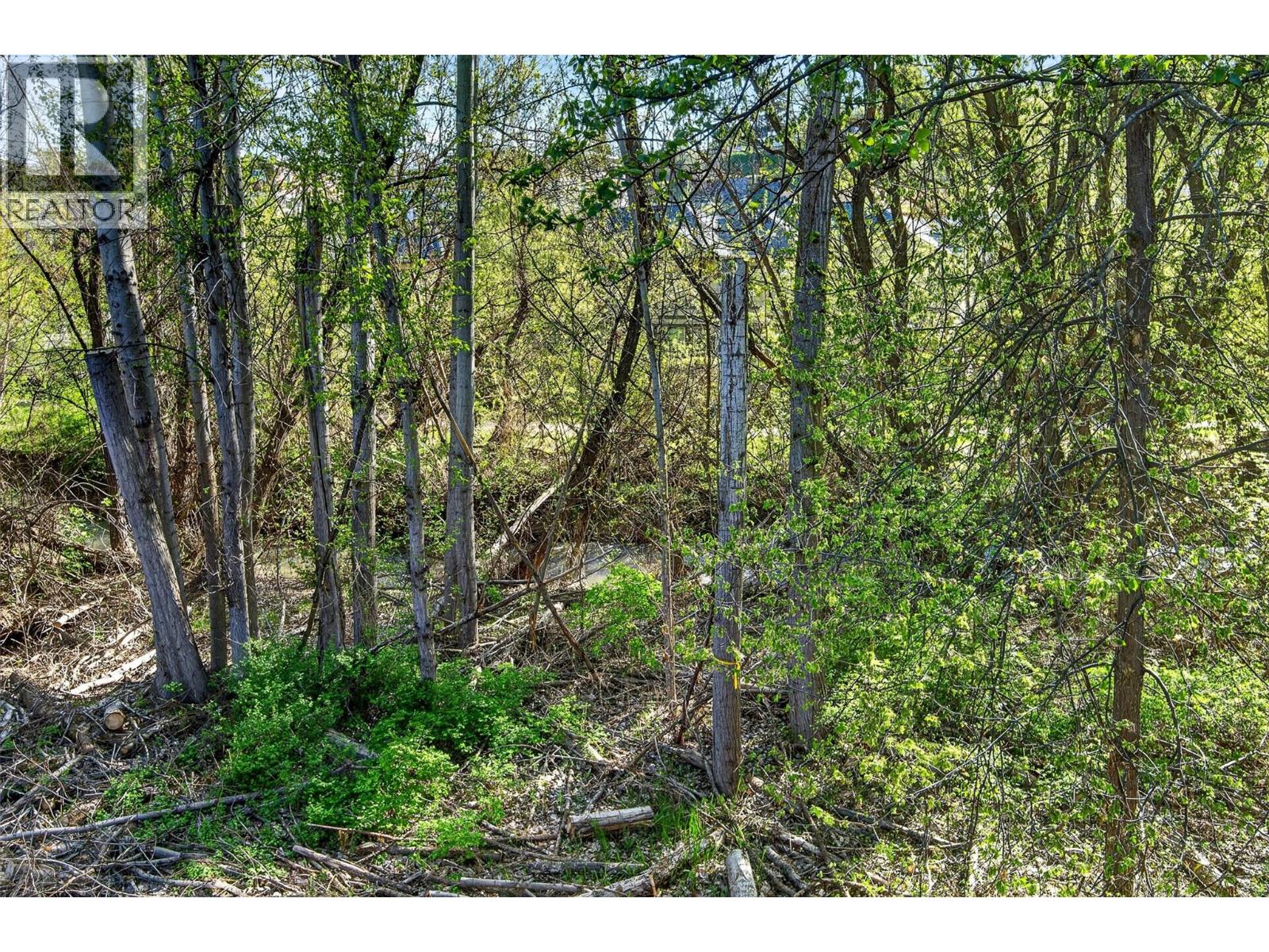 5501 20 Street Unit# 119, Vernon, British Columbia  V1T 7T2 - Photo 63 - 10384643