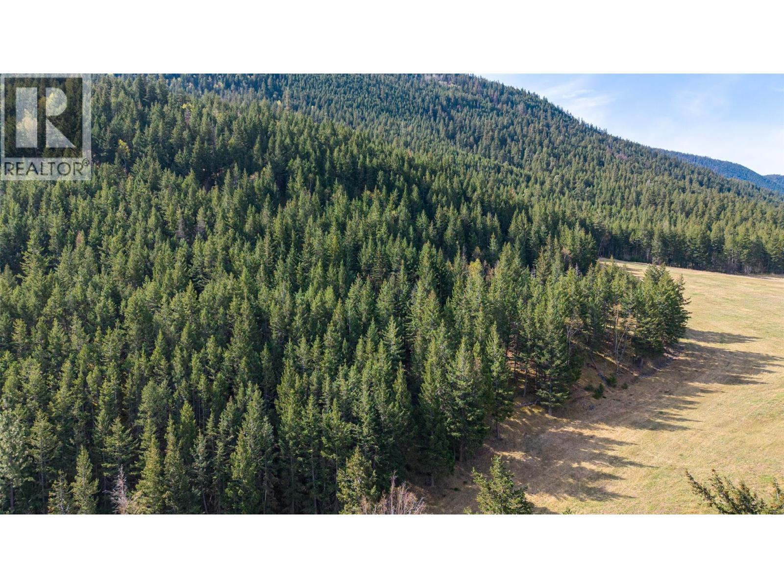 6142 Falkland Road, Falkland, British Columbia  V0E 1W0 - Photo 25 - 10384088