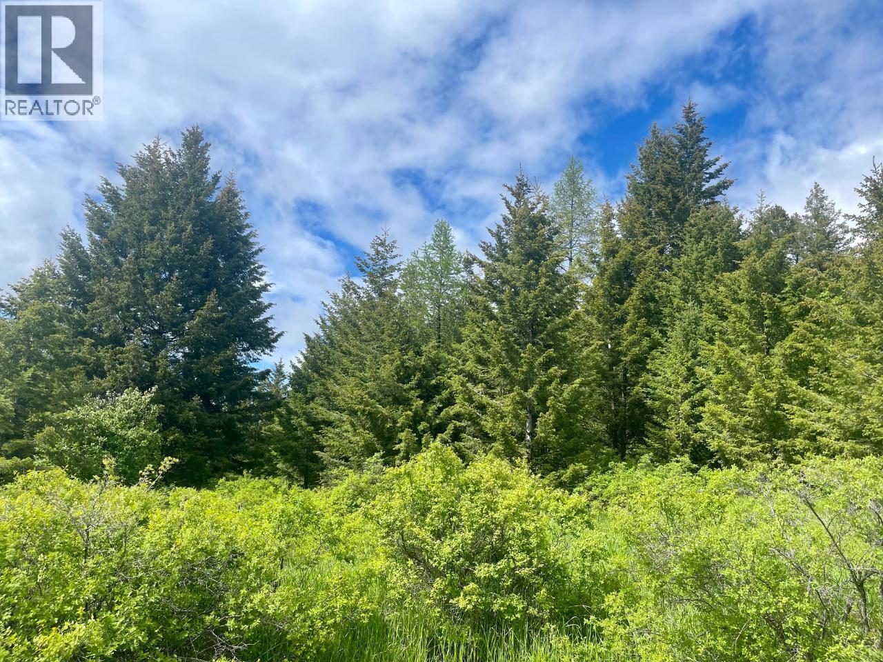 1355 Timberwolf Trail, Rock Creek, British Columbia  V0H 1N1 - Photo 11 - 10382767
