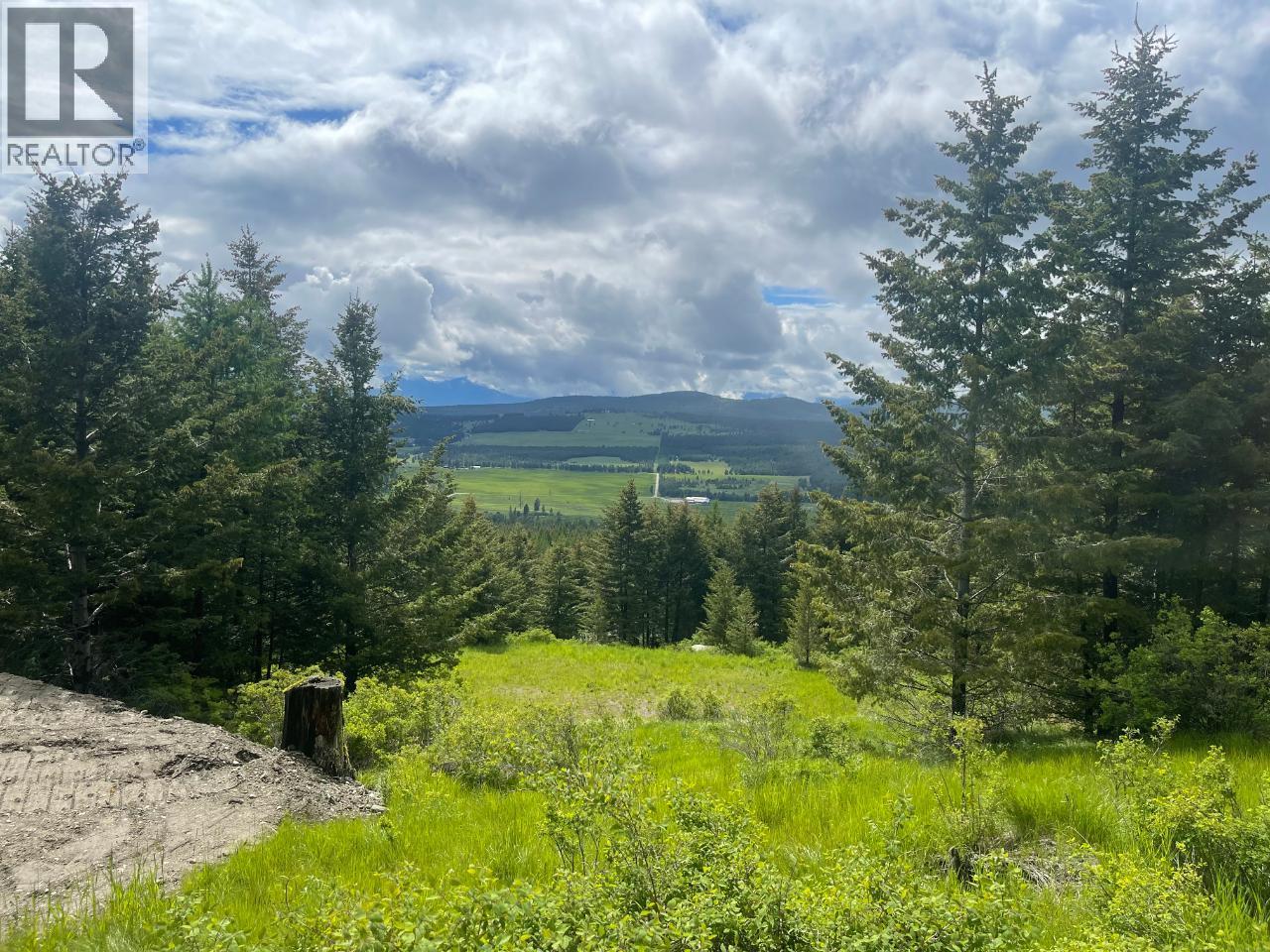 1355 Timberwolf Trail, Rock Creek, British Columbia  V0H 1N1 - Photo 4 - 10382767