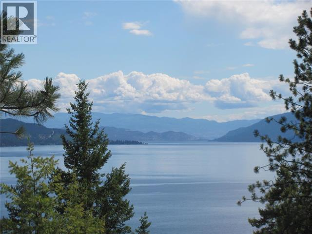10451 Westshore Road, Vernon, British Columbia  V1H 2B2 - Photo 1 - 10384838
