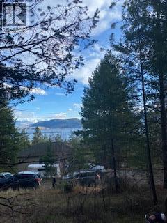 10451 Westshore Road, Vernon, British Columbia  V1H 2B2 - Photo 15 - 10384838