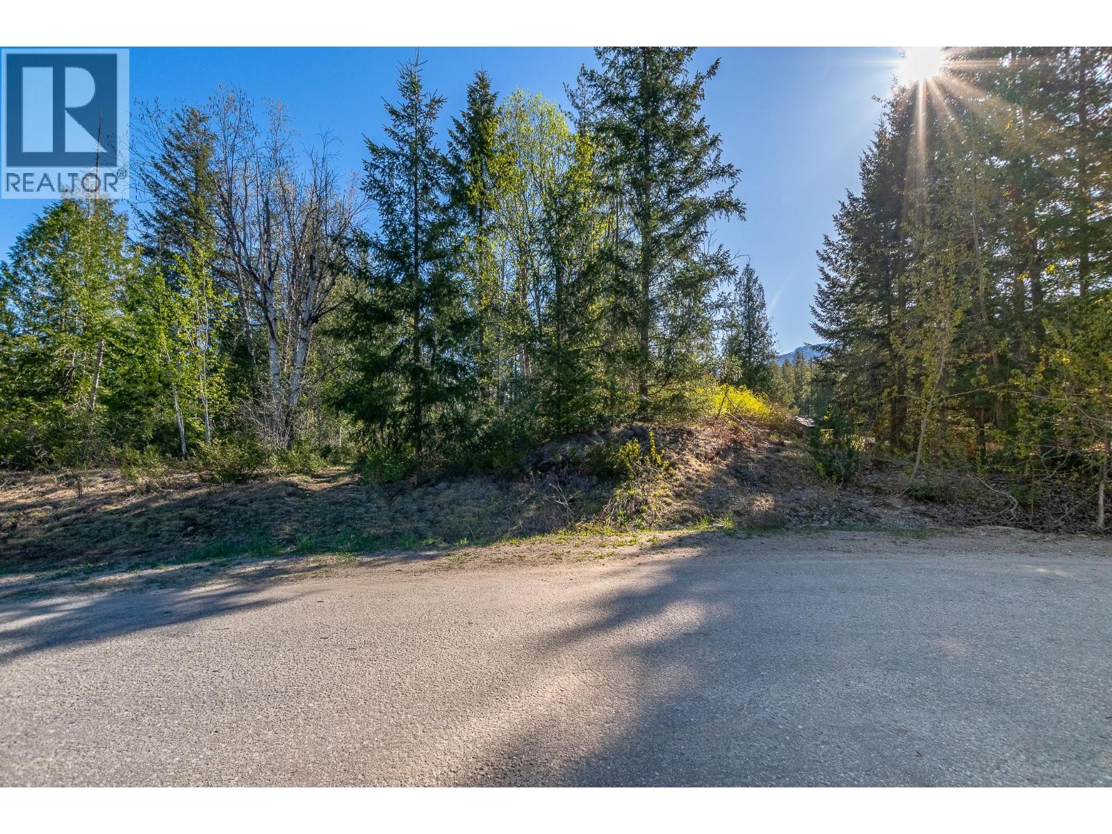 Lot 2 Bloomquist Road, Malakwa, British Columbia  V0E 2J0 - Photo 25 - 10384817