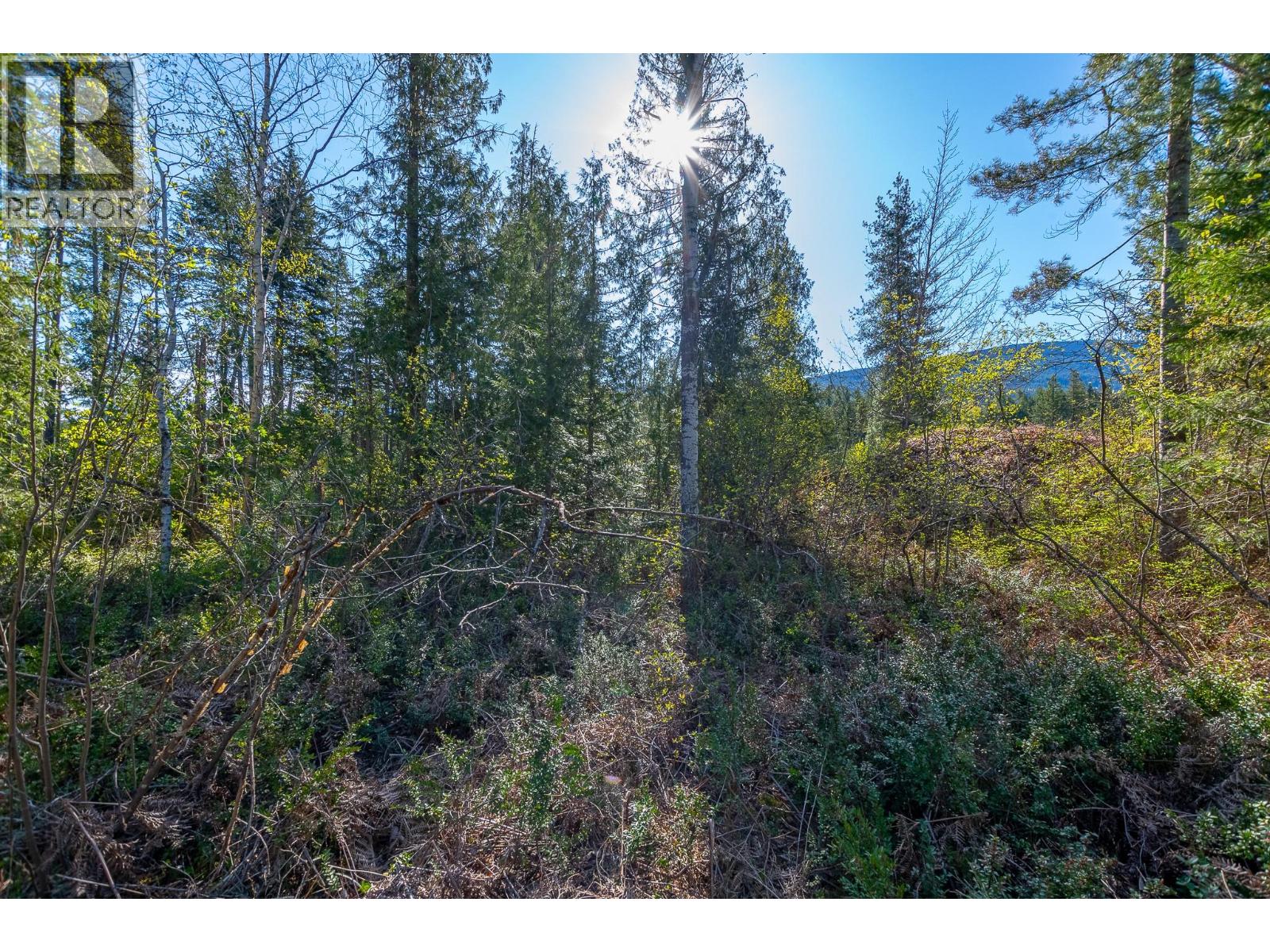 Lot 2 Bloomquist Road, Malakwa, British Columbia  V0E 2J0 - Photo 27 - 10384817
