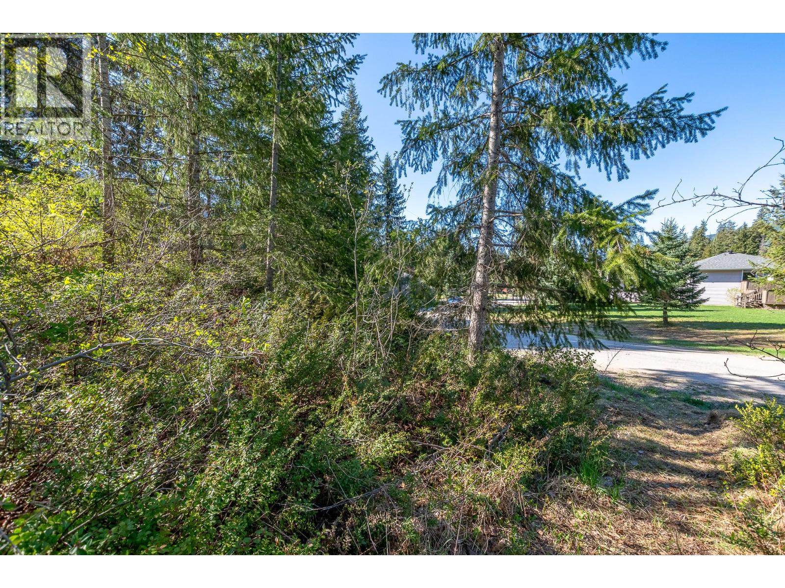 Lot 2 Bloomquist Road, Malakwa, British Columbia  V0E 2J0 - Photo 29 - 10384817