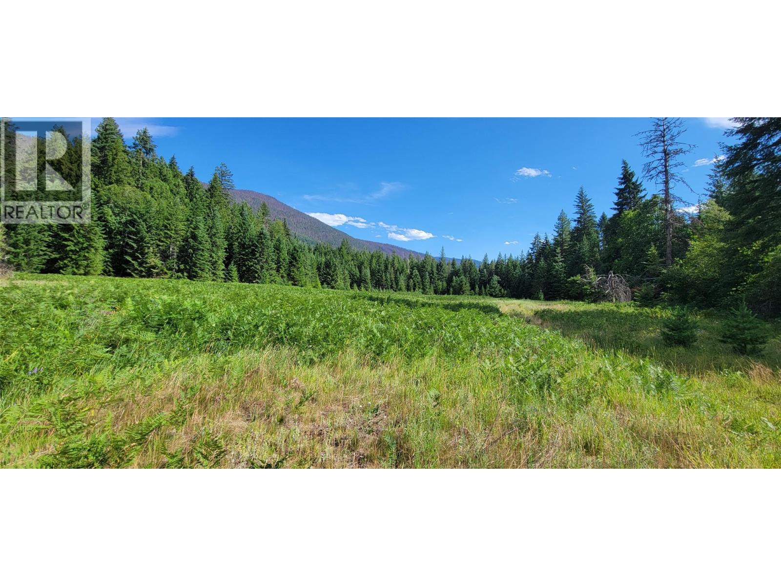 Pcl B Copeland Road, Slocan, British Columbia  V0G 2C0 - Photo 18 - 10384855