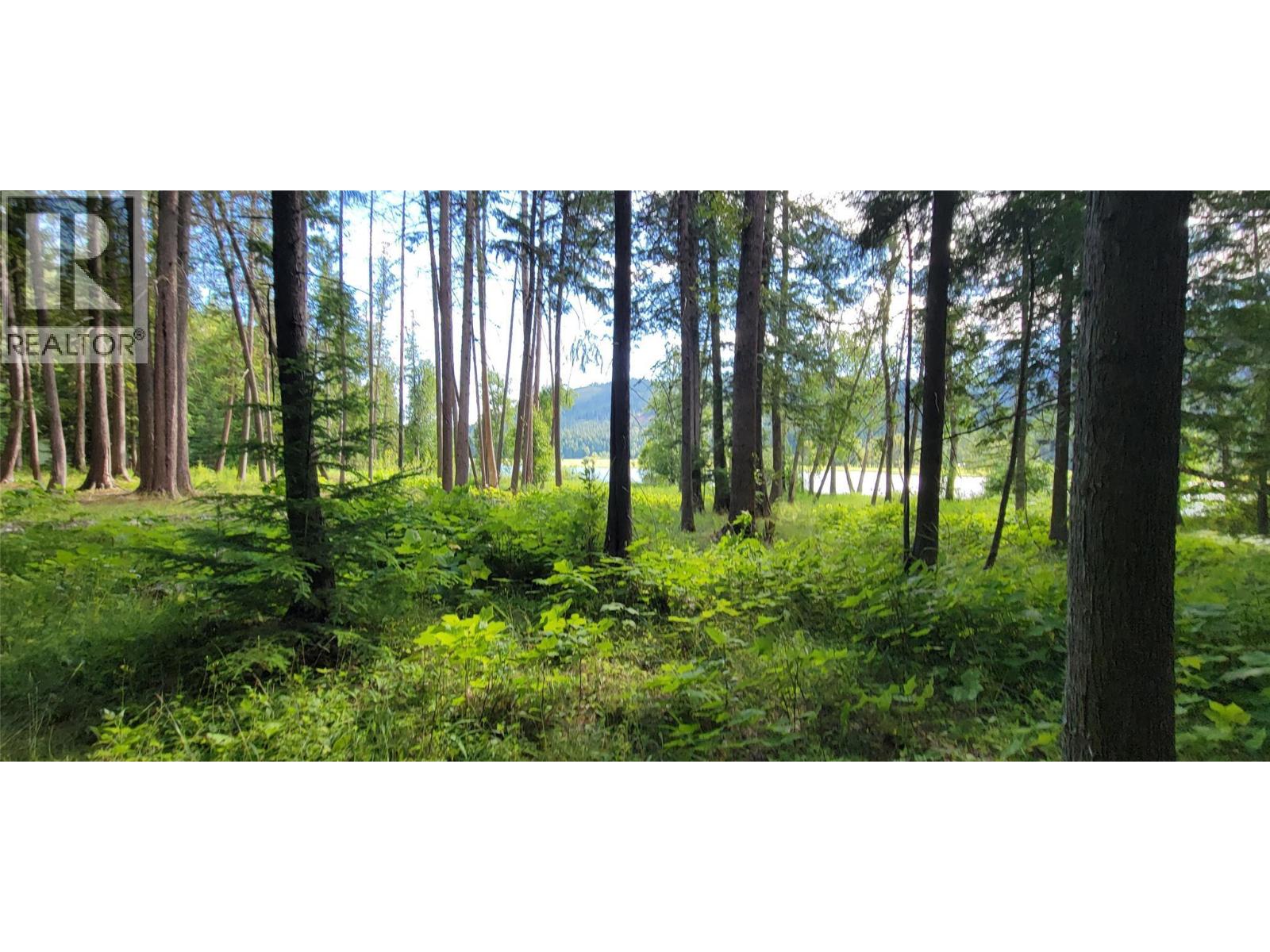 Pcl B Copeland Road, Slocan, British Columbia  V0G 2C0 - Photo 21 - 10384855