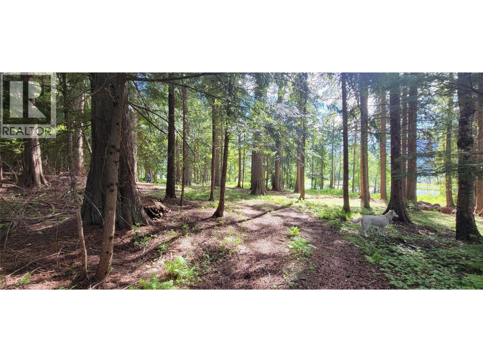 Pcl B Copeland Road, Slocan, British Columbia  V0G 2C0 - Photo 22 - 10384855
