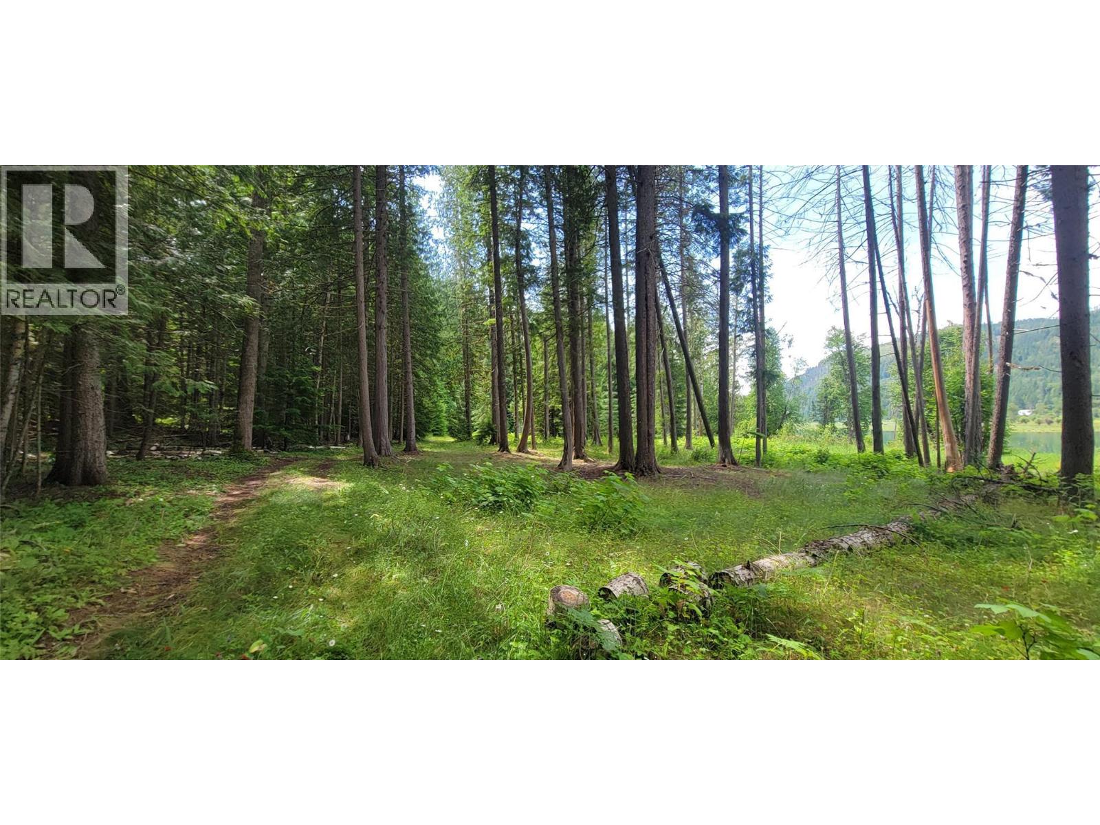 Pcl B Copeland Road, Slocan, British Columbia  V0G 2C0 - Photo 23 - 10384855