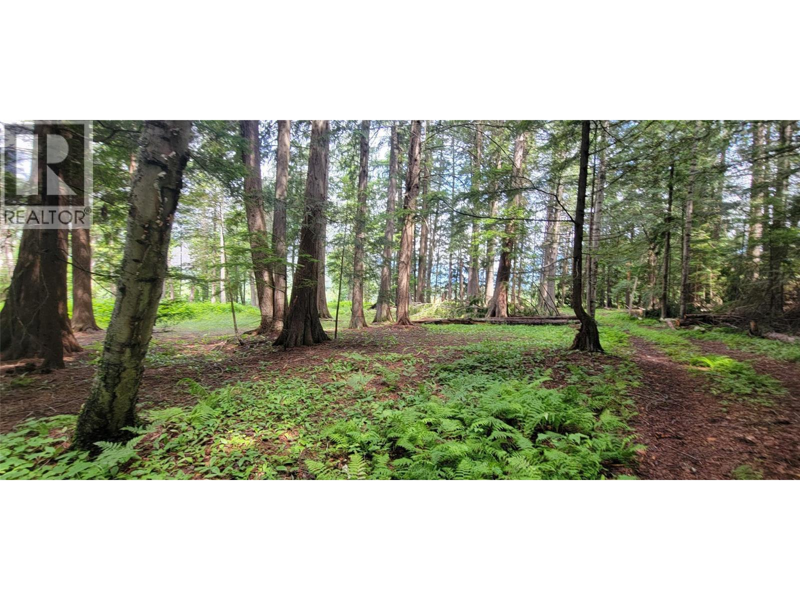 Pcl B Copeland Road, Slocan, British Columbia  V0G 2C0 - Photo 24 - 10384855
