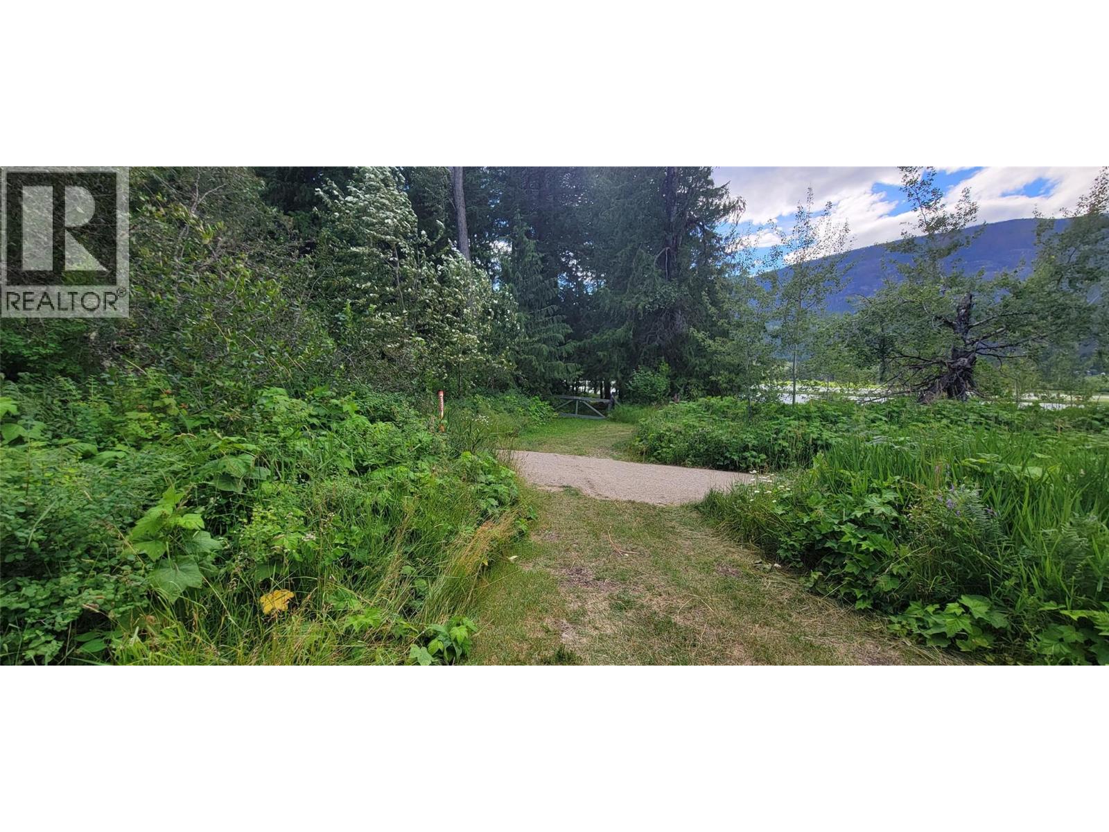 Pcl B Copeland Road, Slocan, British Columbia  V0G 2C0 - Photo 25 - 10384855