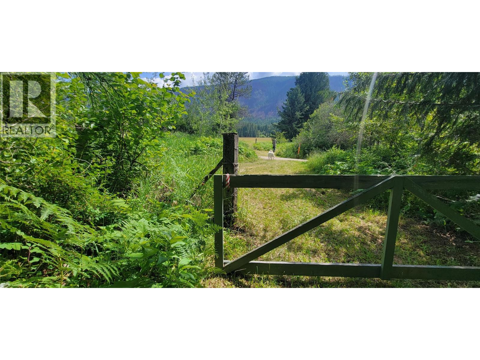 Pcl B Copeland Road, Slocan, British Columbia  V0G 2C0 - Photo 27 - 10384855