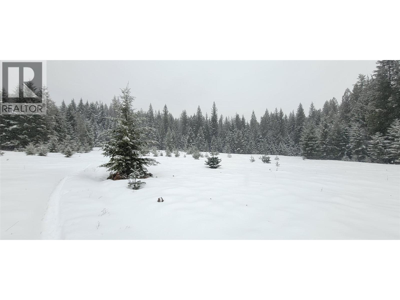 Pcl B Copeland Road, Slocan, British Columbia  V0G 2C0 - Photo 35 - 10384855
