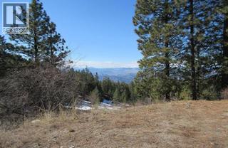 75 Blacktail Road, Osoyoos, British Columbia  V0H 1V6 - Photo 4 - 10384220