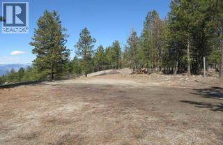 75 Blacktail Road, Osoyoos, British Columbia  V0H 1V6 - Photo 5 - 10384220