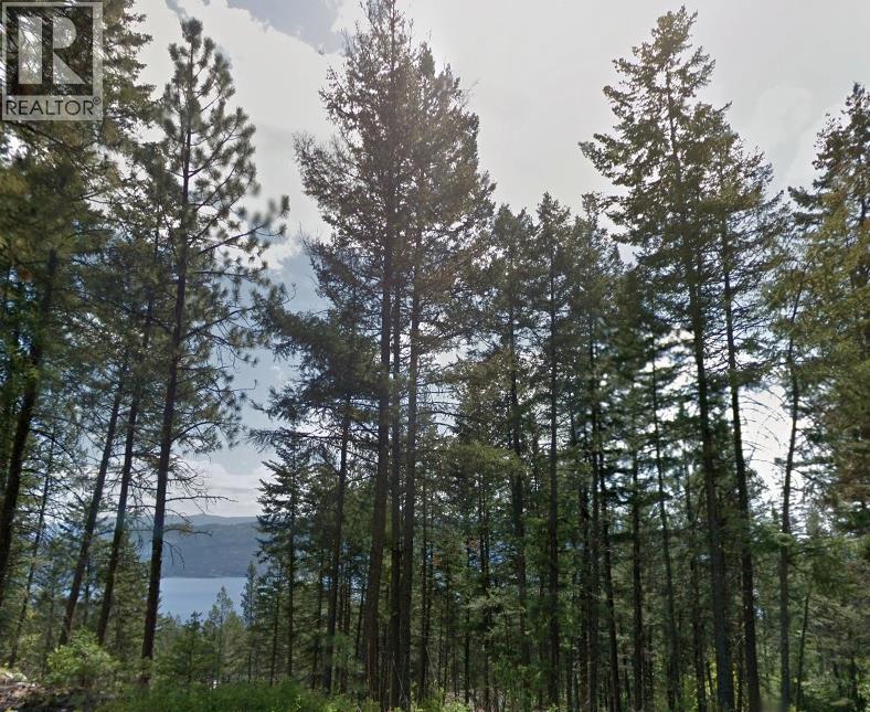 9495 Keithley Road Lot# 144, Vernon, British Columbia  V1H 2E5 - Photo 2 - 10384674